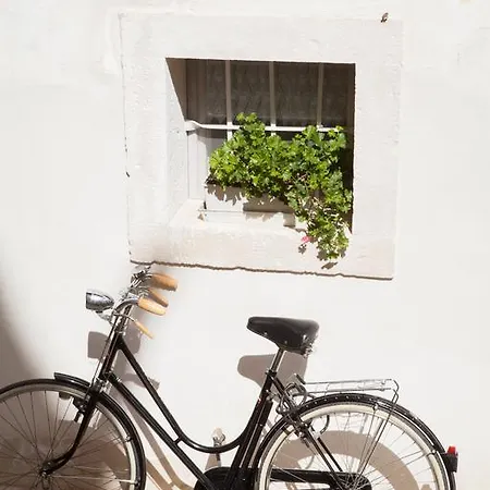 San Domenico * Putignano