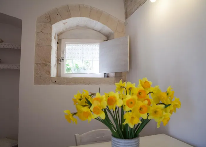 לינה וארוחת בוקר San Domenico